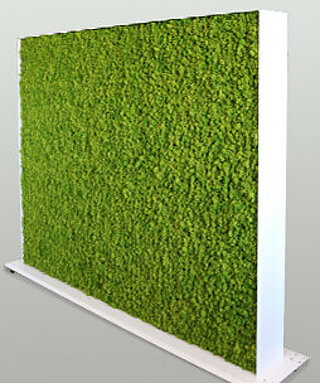 Moss objects: Moss balls, moss boxes, moss stands, moss room dividers - acoustically improving products of Freund Moosmanufaktur