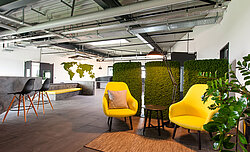Freund moss manufactory functionally acoustic room dividers with moss walls in a calming office environment