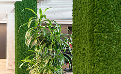 Grünes Büro mit Moossäulen aus Evergreen Premium by Freund GmbH