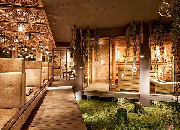 Real moss wall, preserved forest moss greenwood, moss floor with mossy tree stumps in the spa area, Hotel Eder