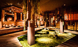 Natural moss wall, preserved Greenwood forest moss, moss floor with moss-covered tree trunks in the Hotel Eder spa