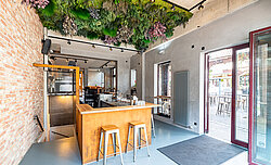 Freund Greenwood Jungle ceiling installation, preserved plants on moss, maintenance-free, Tangente Aachen