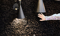 Schwarze Mooswand aus konserviertem Islandmoos, Evergreen Premium, für Tom Dixon