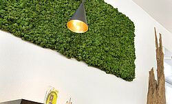 Freund Evergreen Premium moss picture, TimeOut café, Balingen