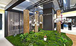 Green Project: Pappelbaumrinde mit Moosboden