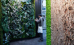 Mooswand Greenwood Jungle für eigenen Messeauftritt, konservierte Pflanzenwand, dichte Pflanzen, Dschungeloptik, London