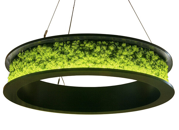 Product Ring light with reindeer moss, Freund moss lights and moss lamps, acoustically effective