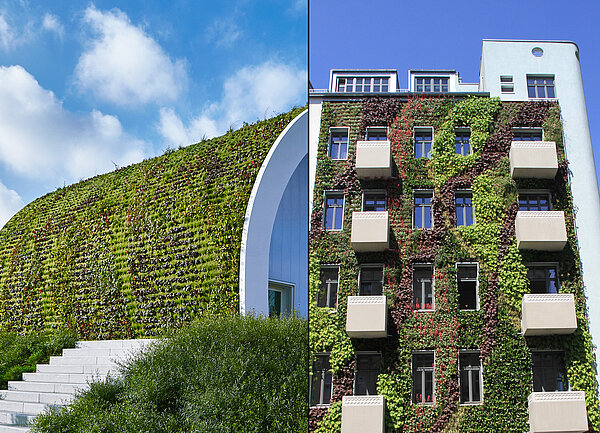 Freund GmbH Objektbegrünung & Pflanzenwände, grounds walls and facades - natural air purifiers