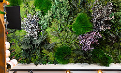 Freund Greenwood Jungle ceiling installation, preserved plants on moss, maintenance-free, Tangente Aachen