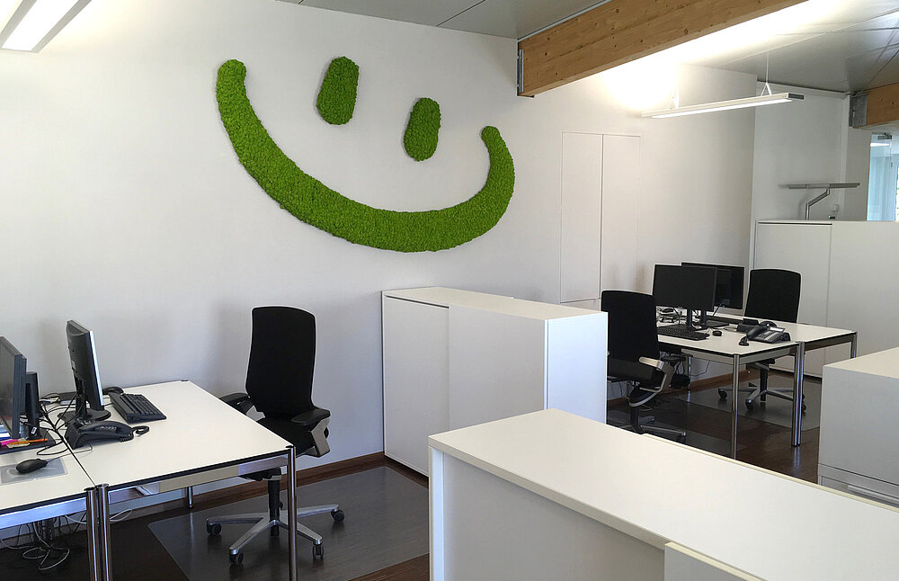Moss smiley wall picture decoration, Freund Evergreen Moss Premium, well-being at work