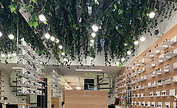 Green Project: Konservierte Pflanzenranken in Storedesign