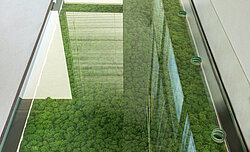 LASERTECHNIKA office greenery, Evergreen Moss Standard in moss green and apple green