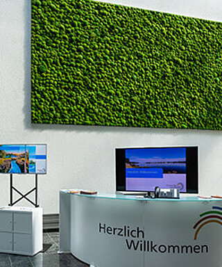 Greenhill Moss Premium: Custom-made moss walls and moss pictures, maintenance-free, acoustically effective, made of preserved hill moss, Freund GmbH