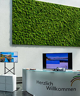 Greenhill Moss Premium: Custom-made moss walls and moss pictures, maintenance-free, acoustically effective, made of preserved bun moss, cushion moss, Freund GmbH