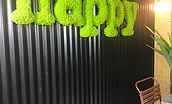 Buchstaben aus Evergreen Moos Premium Islandmoos, Mooskante, apfelgrün, Message, Wandbild in Kantine