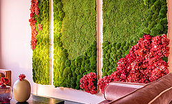 Green Project: Hortensie mit Greenhill Hügelmoos und Greenwood Waldmoos