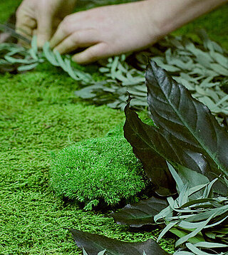 Preview Freund GmbH, production, manufacturing moss products and application - A piece of nature for your rooms
