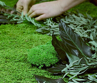 Preview Freund GmbH, production, manufacturing moss products and application - A piece of nature for your rooms