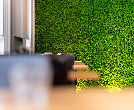 Echte Mooswand aus Evergreen Premium in Apfelgrün - perfekt für den Veranstaltungsraum des Schloss Bothmer