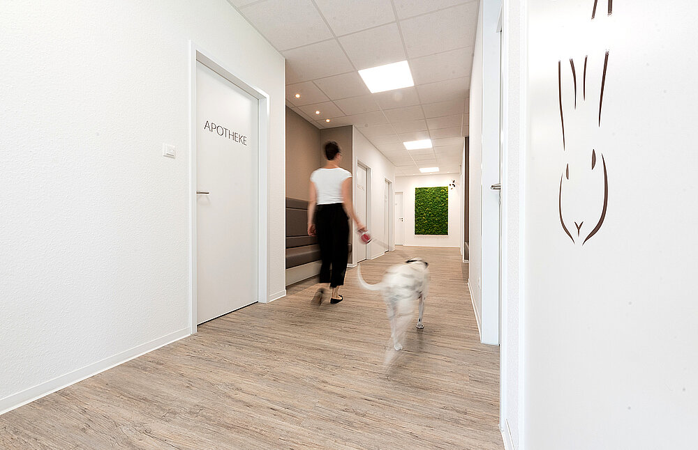 Pflegefreie Mooswand, konserviertes Greenhill Premium Polstermoos, Tierarztpraxis Eingangsbereich