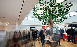 Baum mit 732 Mooskugeln, zweifarbig,  Evergreen Premium Moos von Freund GmbH
