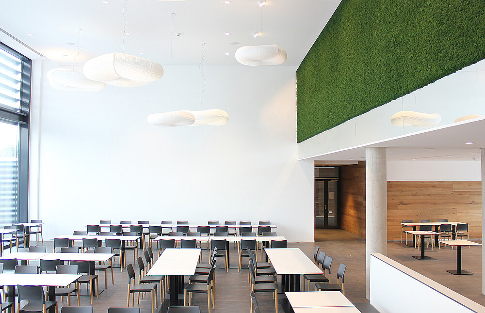 Sound-absorbing moss wall, F.EE Neunberg canteen, Evergreen Moss Premium, moss green