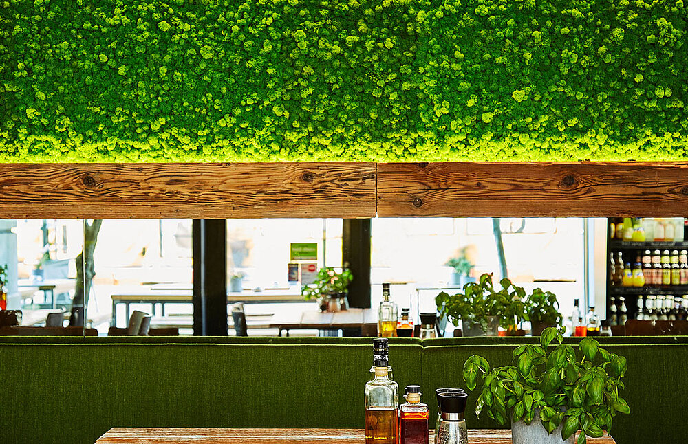 Evergreen Wide: Indoor Moss Wall