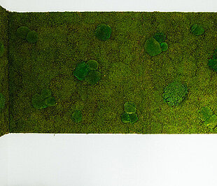 FAQ - Greenwood moss walls by Freund GmbH