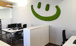 Smiley Wanddekoration Moosbild Freund Evergreen Moos Premium, Wohlfühlbüro