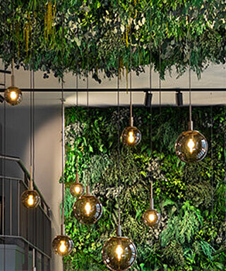 From real moss pictures in forest look to plant walls in dense jungle look: Moss for walls, floors, ceilings by Freund GmbH