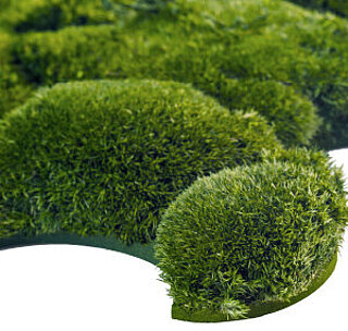 Greenhill Puzzle: Real moss walls made of hill moss, infinitely and seamlessly extendable, acoustically effective, Freund GmbH