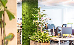Green office with moss pillars of Evergreen Premium by Freund GmbH