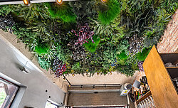 Deckeninstallation Freund Greenwood Jungle konservierte Pflanzen auf Moos, pflegefrei, Tangente Aachen