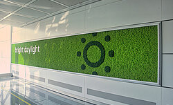 Freund Evergreen Premium moss walls with motifs, Munich Airport
