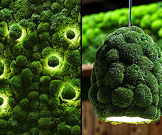 Moss meets light: Maintenance-free moss walls with LED, pendant lamps with moss etc., acoustically effective