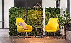 Freund moss manufactory functionally acoustic room dividers with moss walls in a calming office environment