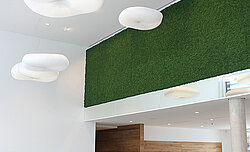 Sound-absorbing moss wall, F.EE Neunberg canteen, Evergreen Moss Premium, moss green
