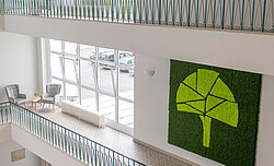 Moss motif as per customer specifications, large Premium moss wall with moss edging and moss lettering, Campus Horn