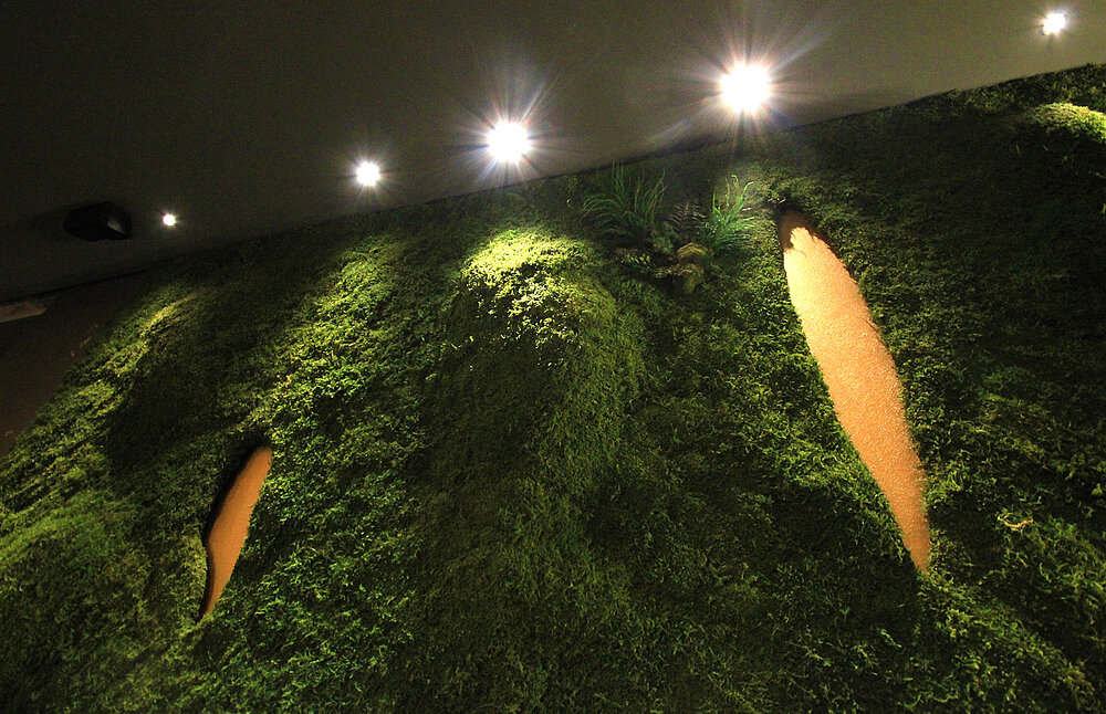 Urige Atmosphäre im grünen Salon privat, Greenwood Moos Wände 3D Untergrund
