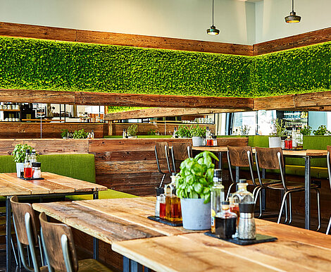 Evergreen Moss Flex as wall greenery at the Little Green Rabbit restaurant, Berlin