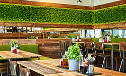 Evergreen Moss Flex as wall greenery at the Little Green Rabbit restaurant, Berlin
