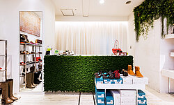 Real maintenance-free moss walls, shoe shop in a shopping mall, Kawasaki, Japan