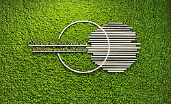 Evergreenn premium moss wall, maintenance-free and acoustically effective, practice room, moss picture combined with logo