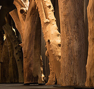 Peter Wagensonners  Holzskulpturen Die Gefährten, Kunstobjekte aus Holz