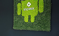 Moss marketing message for staff, moss picture with raised inovex logo