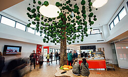 Baum mit 732 Mooskugeln, zweifarbig,  Evergreen Premium Moos von Freund GmbH