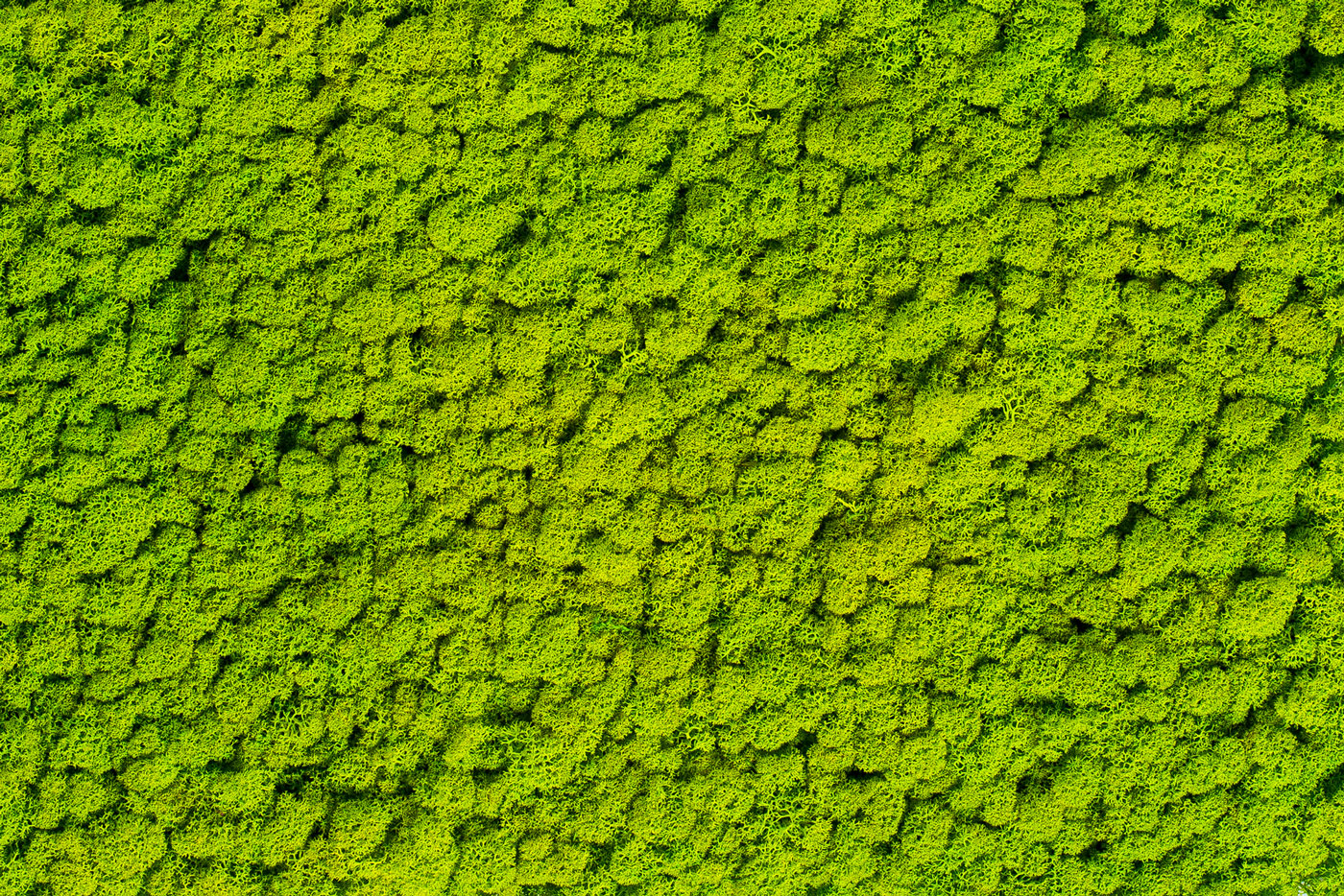 Standard colour