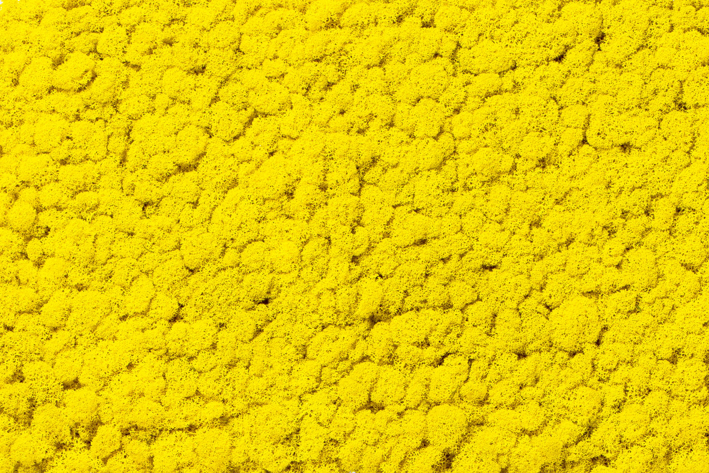 Special colour