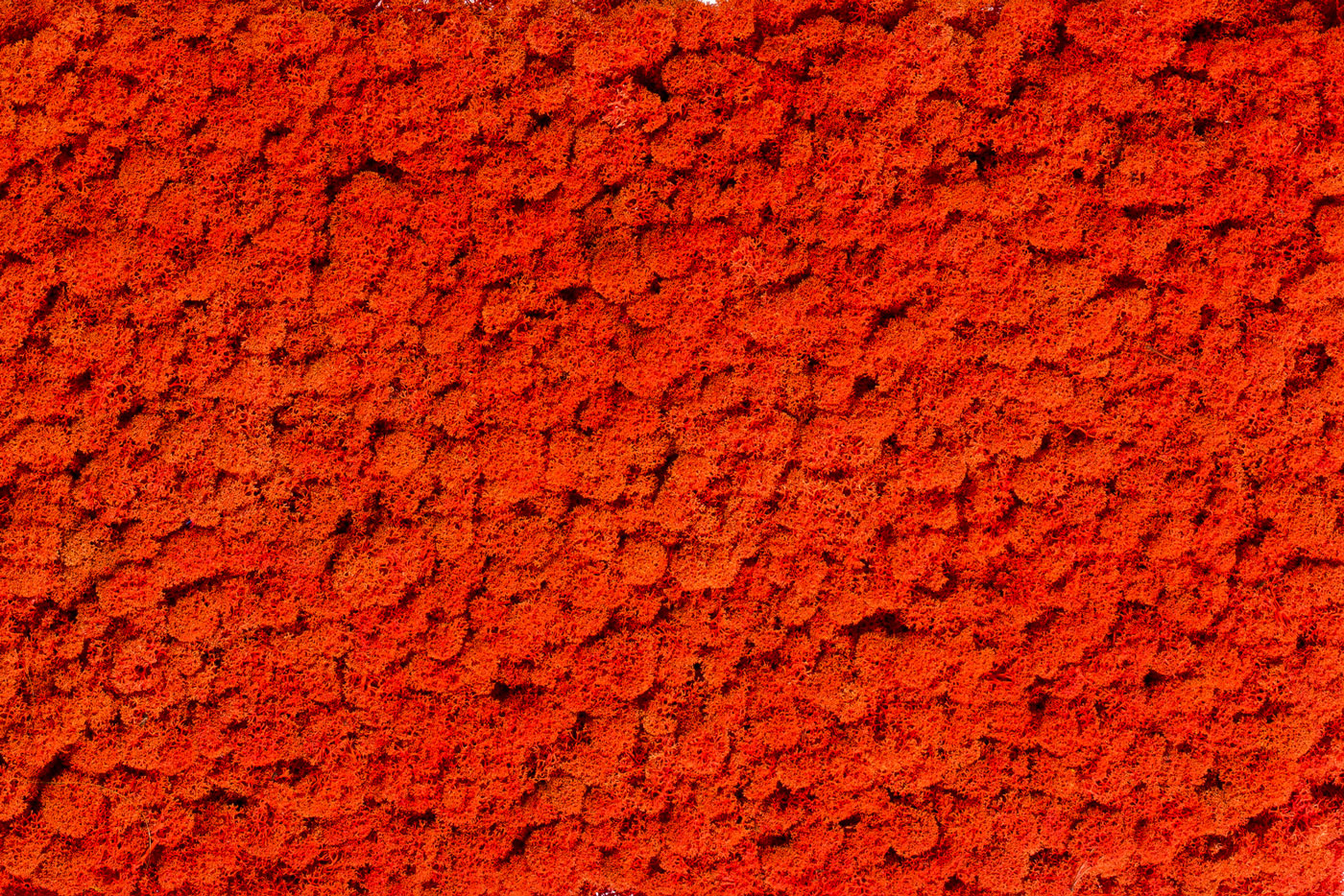 Special colour