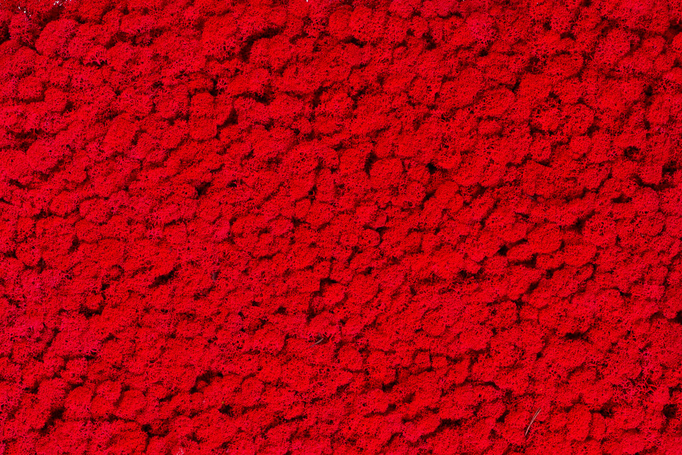 Special colour